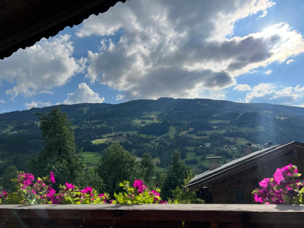 Ferienwohnung Gamsbock Panorama View Balkon, Gartensauna, Garten, Grillplatz Stumm Eksteriør billede