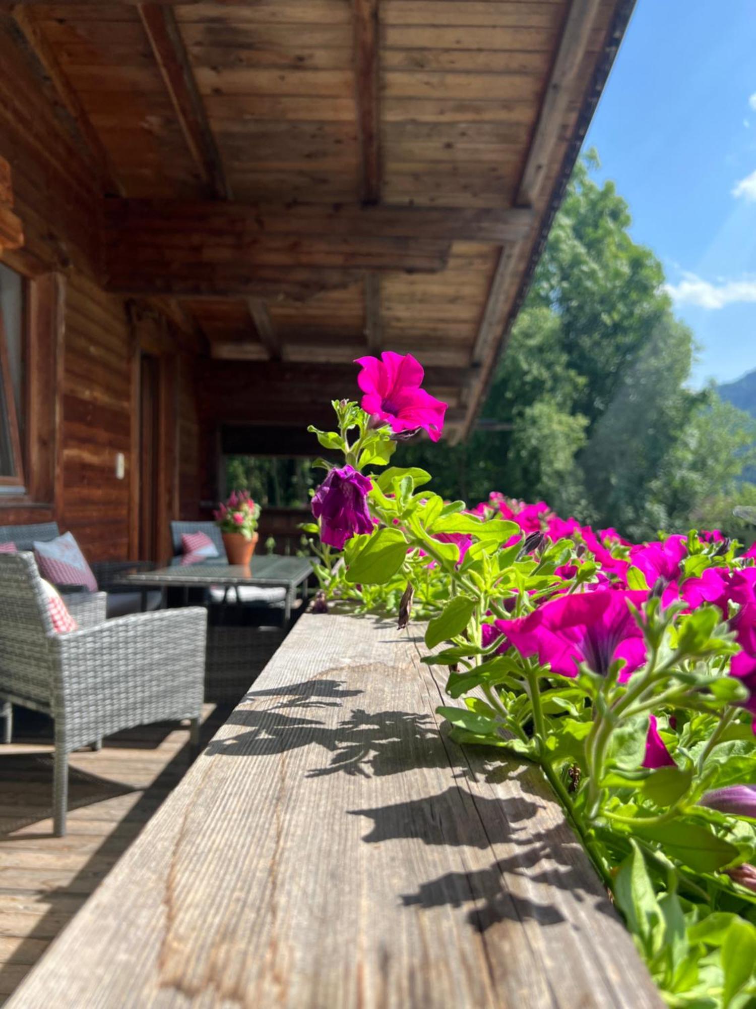 Ferienwohnung Gamsbock Panorama View Balkon, Gartensauna, Garten, Grillplatz Stumm Eksteriør billede
